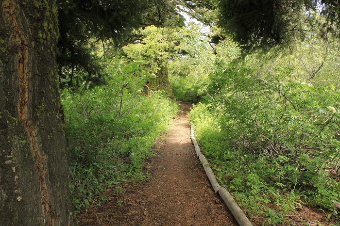 Mores Mountain Trail near Boise, Idaho.