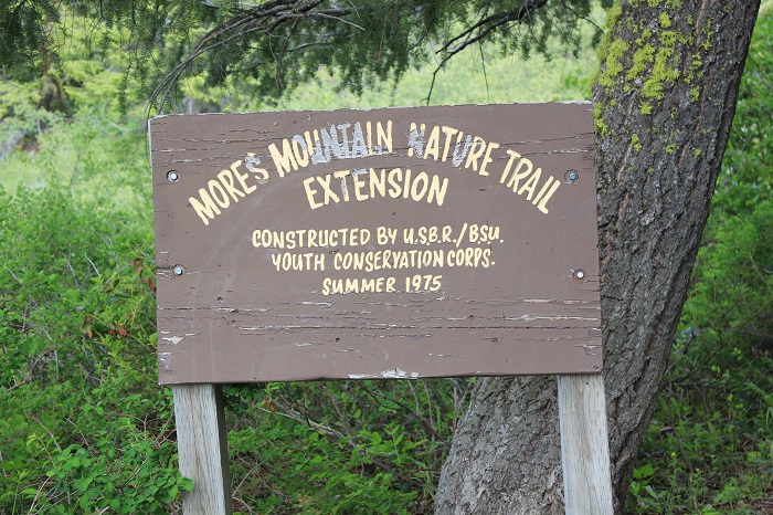 Mores Mountain Trail near Boise, Idaho.