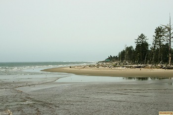 picture of the coast at North Cove