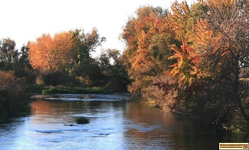 Fall on the Boise River near Parma, Idaho