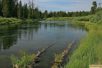 The Buffalo River in Idaho.