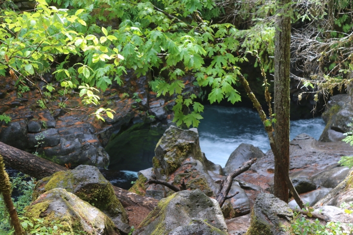 Hiking to Toketee Falls on Oregon's North Umpqua River.