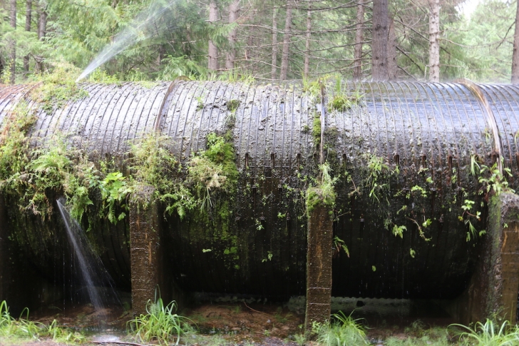 Hiking to Toketee Falls on Oregon's North Umpqua River.