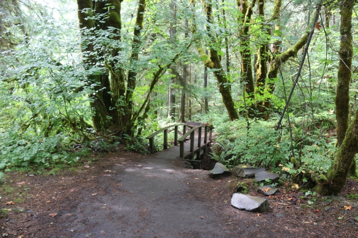 Hiking to Toketee Falls on Oregon's North Umpqua River.