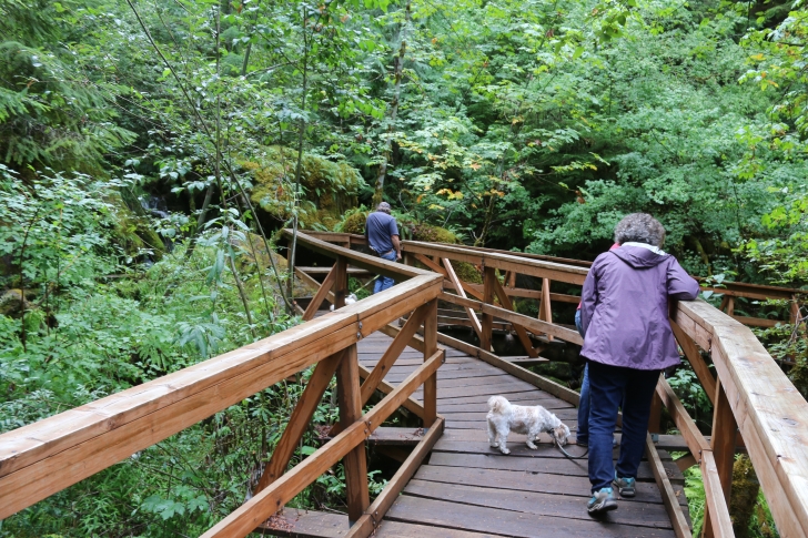 The "bridge" crossing Watson Creek below Watson Falls.