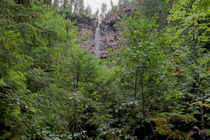 The view of Watson Falls in Oregon from the "bridge".