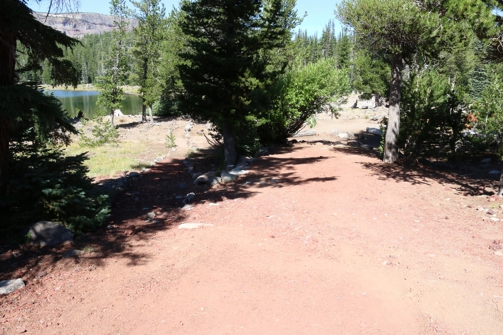 A picture of campsite number 3 in Oregons Driftwood Campground.