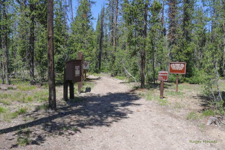 Warm Springs Trail #147 near Bull Trout Lake